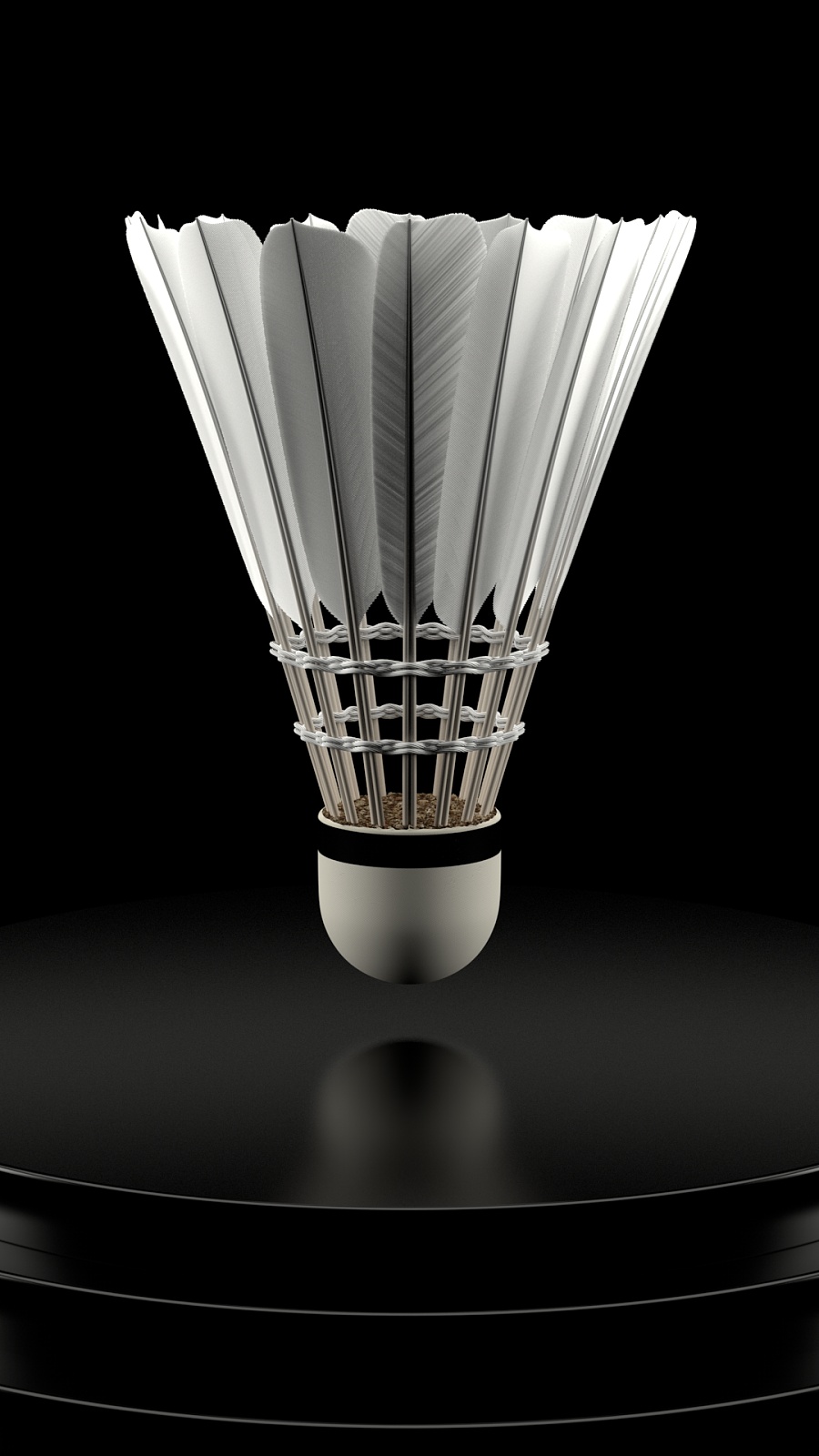 比赛进程 比赛进程