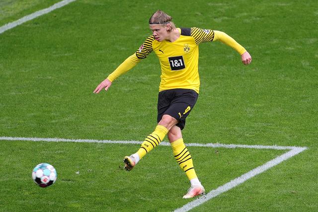 牌收获尤其 牌收获尤其