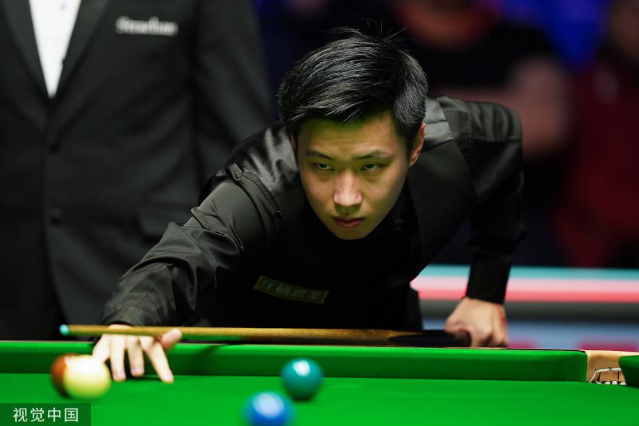 置的三角草 置的三角草