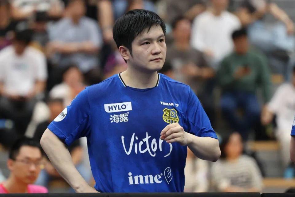 整影响判断 整影响判断